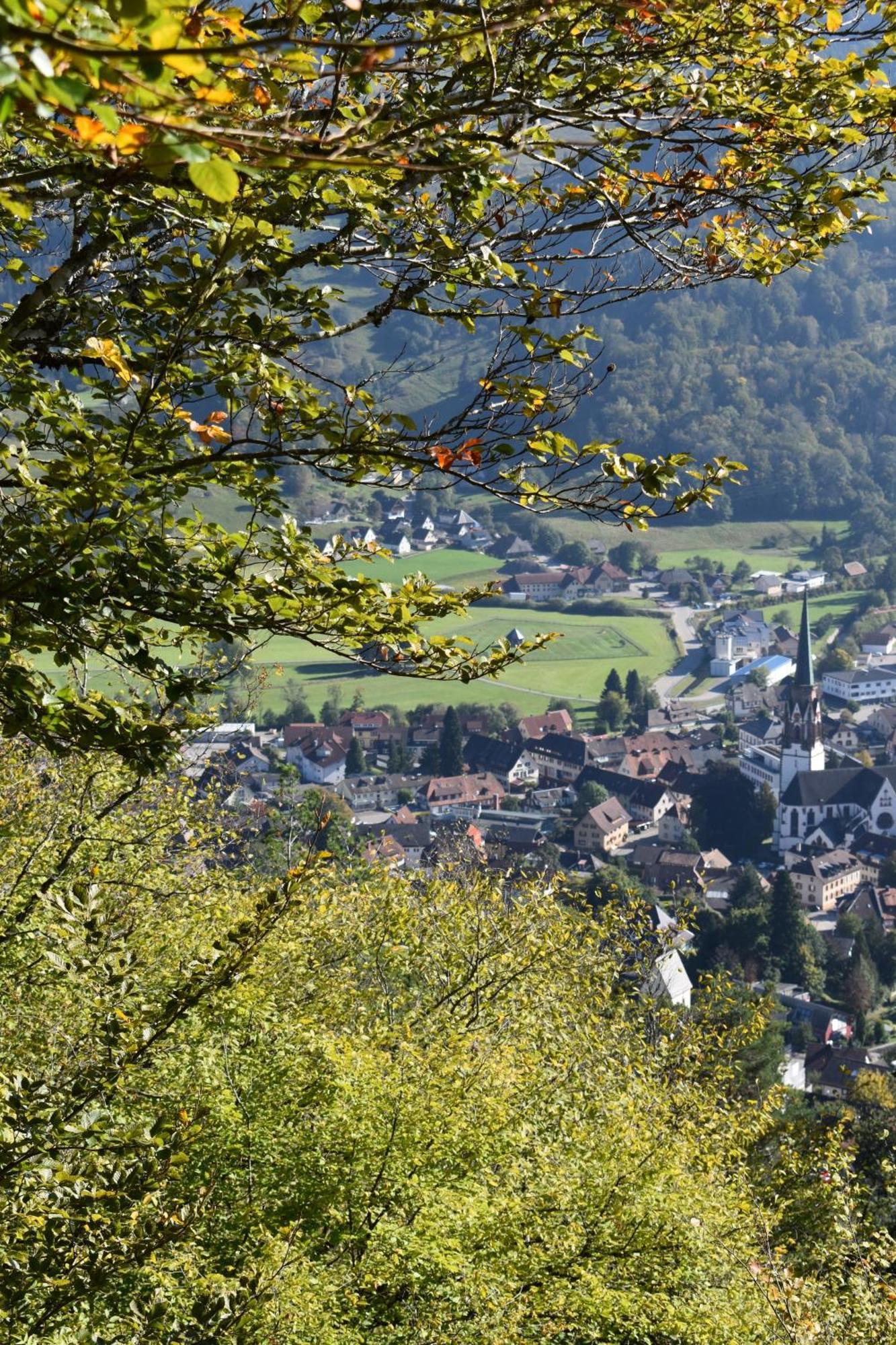 Gartenferienhaus "Annaluise" Schönau im Schwarzwald Εξωτερικό φωτογραφία