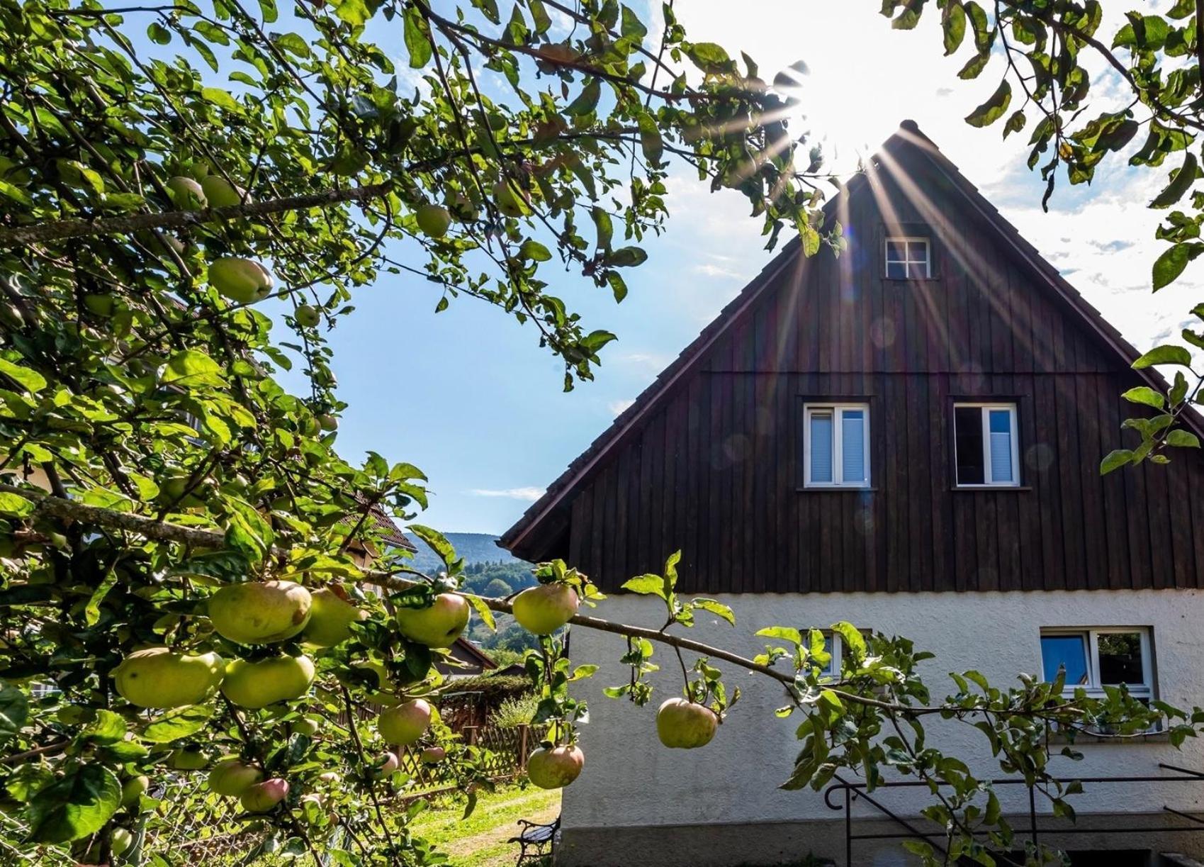 Gartenferienhaus "Annaluise" Schönau im Schwarzwald Εξωτερικό φωτογραφία