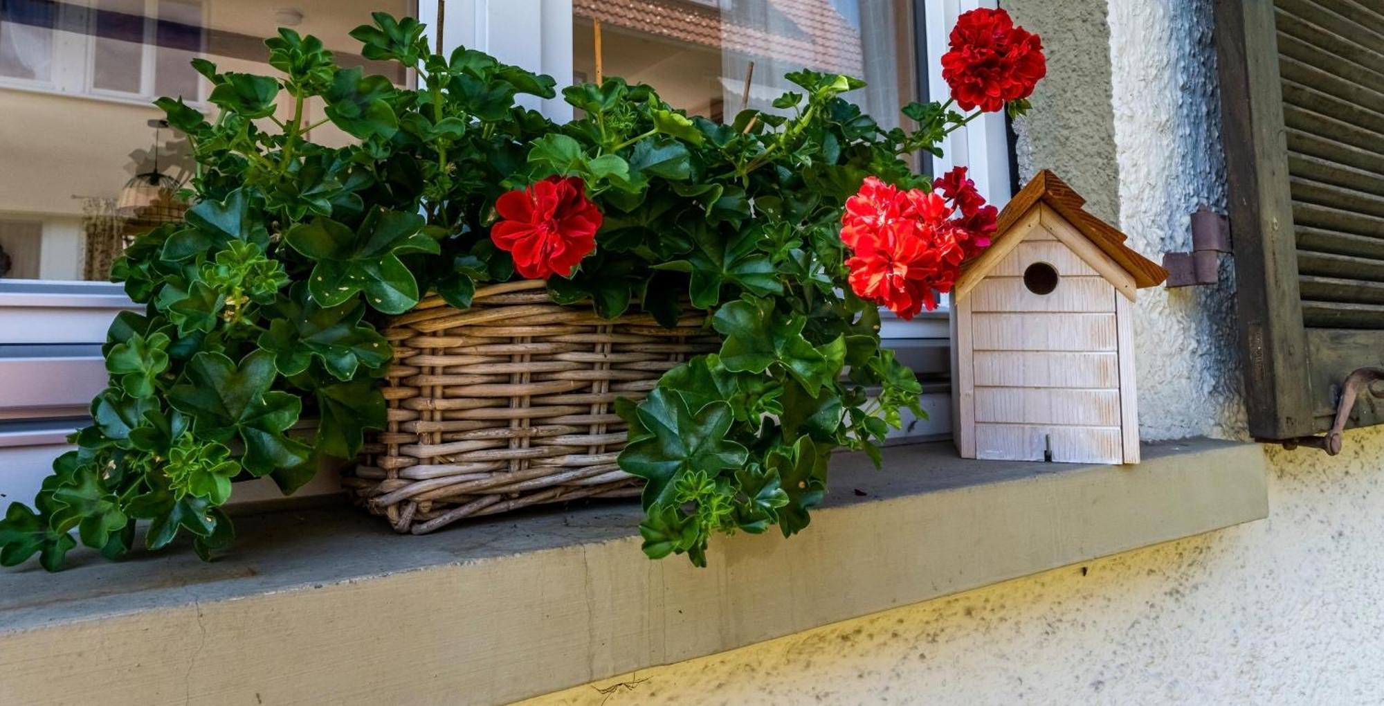 Gartenferienhaus "Annaluise" Schönau im Schwarzwald Εξωτερικό φωτογραφία
